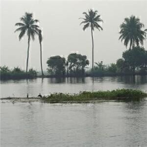 Environmental disaster as floods hit Pakistan