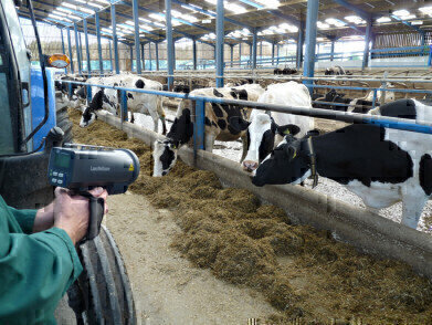 Tesco Monitors Methane Emissions from Cows