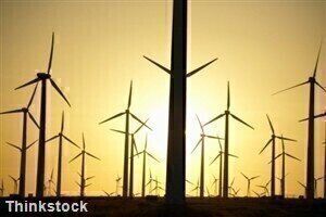 Renewable energy industry to take off 'if environmental legislation changes'