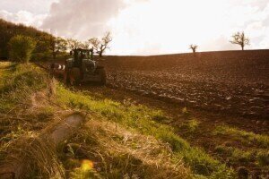 New Zealand farmers 'must take more responsibility' over soil quality