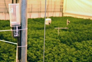 Dutch University Uses Patented Technology for Soil Moisture Research
