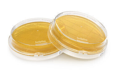 New Contact Plates for Improved Detection of Microorganisms in Isolators and Cleanrooms
