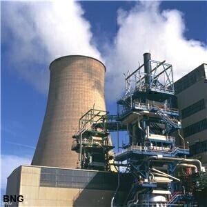 Government 'must subsidise nuclear power plants'