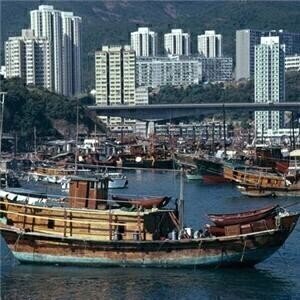 Hong Kong reports convictions under environmental legislation