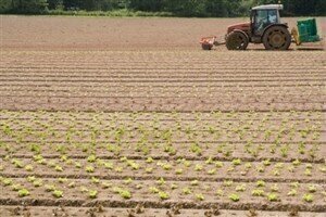 Environmental analysis news: Innovation 'key to future of agriculture'